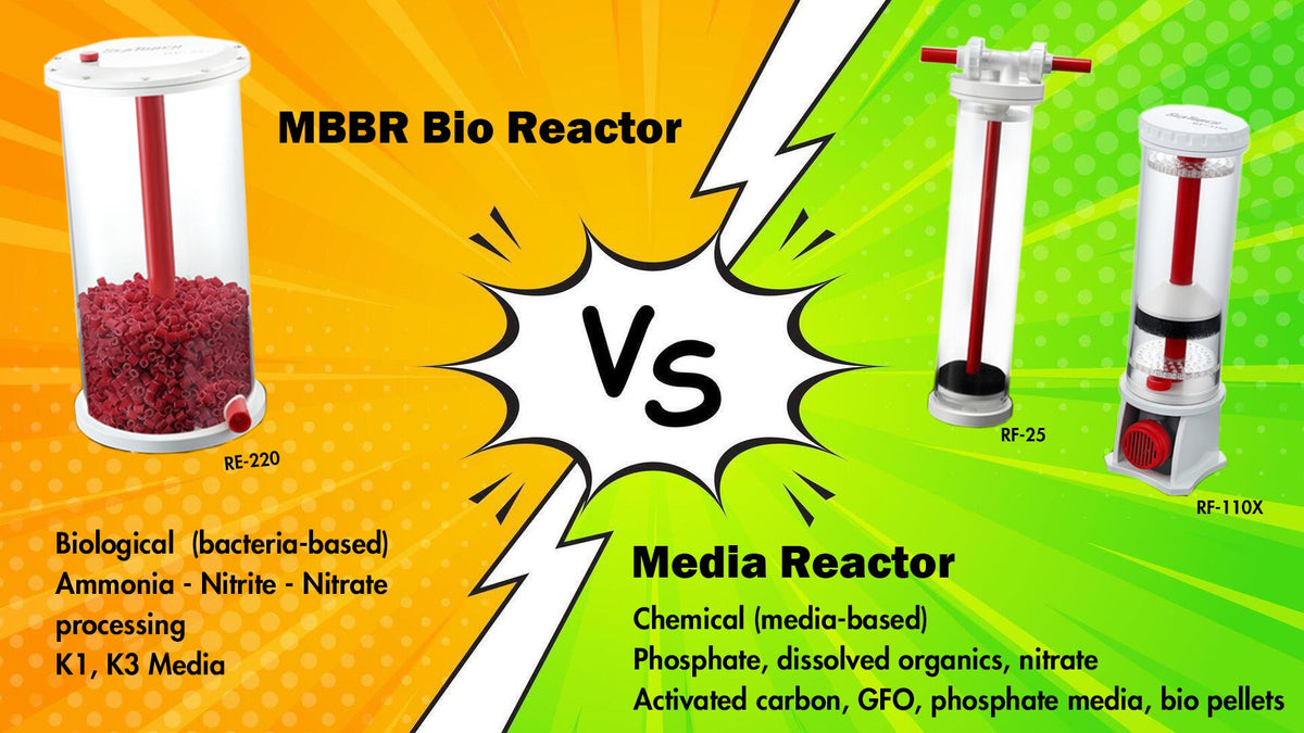 MBBR Bio Reactor vs Media Reactor – What’s the Difference? – Seatorch ...