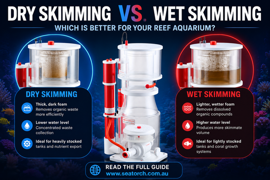 Wet Skimming vs Dry Skimming — Finding the Perfect Balance for Your Reef Aquarium