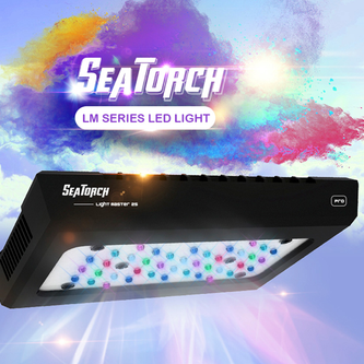 LED Light