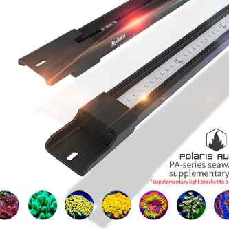 Polaris Aurora Supplement Light