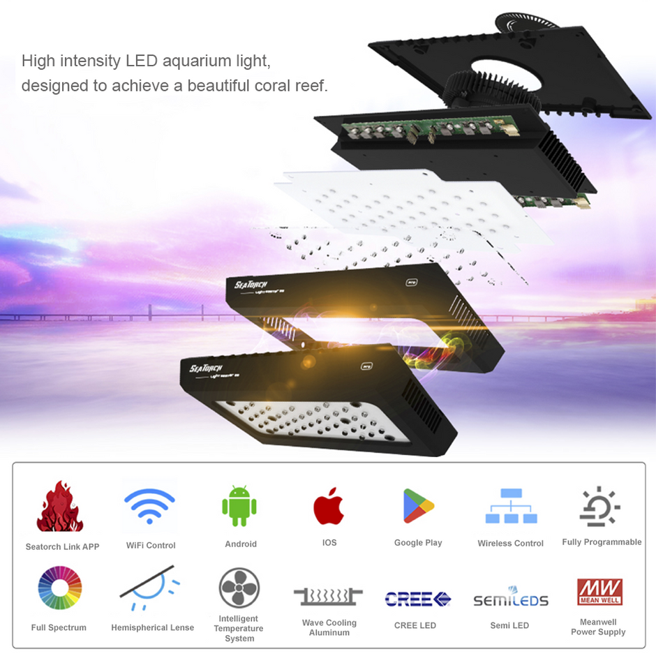 Light Master LM-35 Pro LED Light