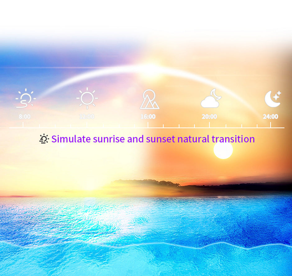 Light Master LM-35 Pro LED Light