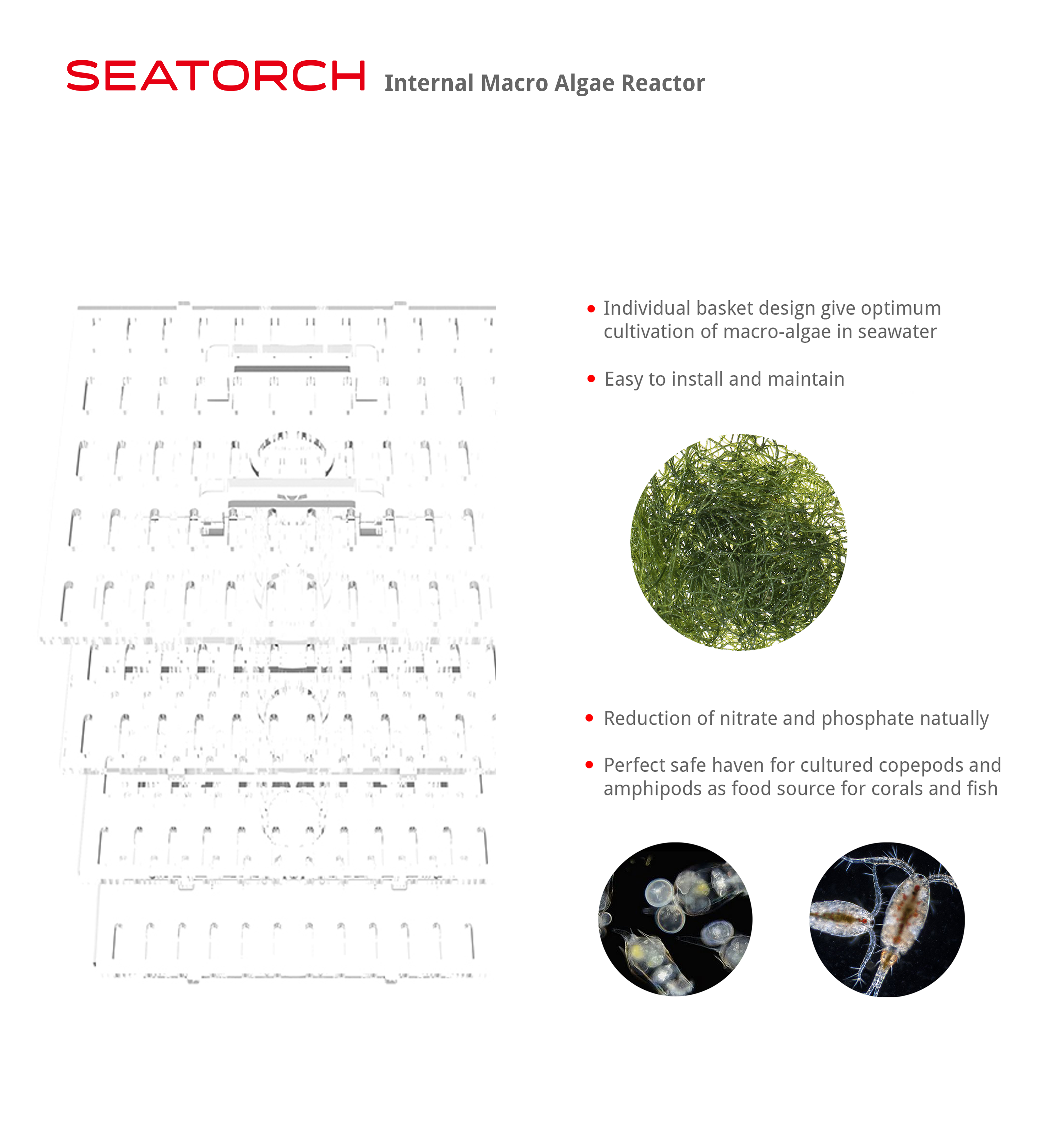 Macro Algae Reactor Internal