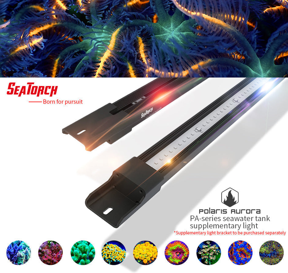 Polaris Aurora Supplement Light - PA150